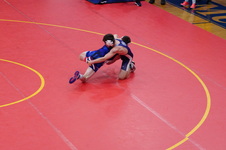 Enlarge photo 478