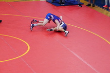 Enlarge photo 490