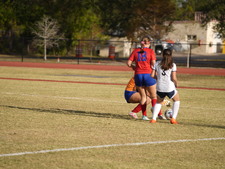 Enlarge photo 45