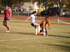 Enlarge photo 52