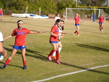 Enlarge photo 82