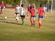 Enlarge photo 118