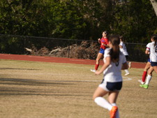 Enlarge photo 134