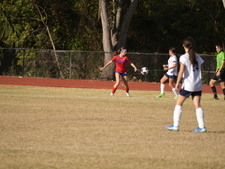 Enlarge photo 139