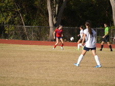 Enlarge photo 140