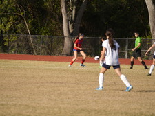 Enlarge photo 141