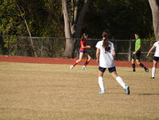 Enlarge photo 142
