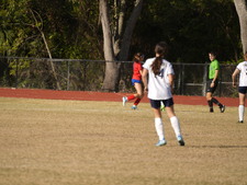 Enlarge photo 143