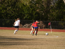 Enlarge photo 148