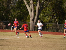 Enlarge photo 153