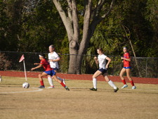 Enlarge photo 159