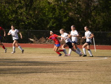 Enlarge photo 168