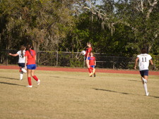 Enlarge photo 223