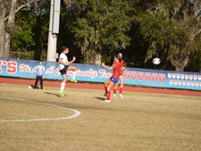 Enlarge photo 231
