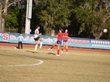 Enlarge photo 232