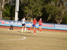 Enlarge photo 233