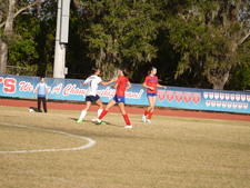 Enlarge photo 234