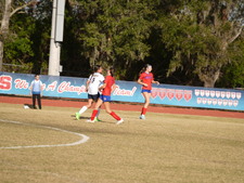 Enlarge photo 235