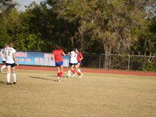 Enlarge photo 238