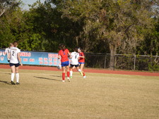 Enlarge photo 239