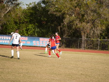 Enlarge photo 242