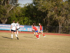 Enlarge photo 245