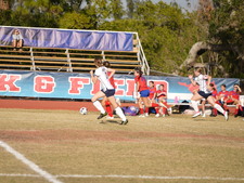 Enlarge photo 248