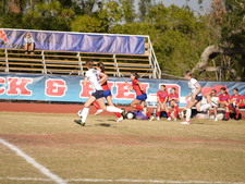 Enlarge photo 249