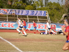 Enlarge photo 251