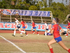 Enlarge photo 252