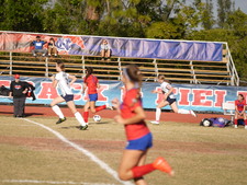 Enlarge photo 254