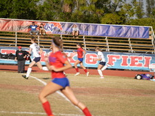 Enlarge photo 255