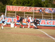 Enlarge photo 258