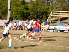 Enlarge photo 268