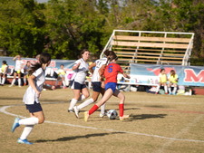 Enlarge photo 271
