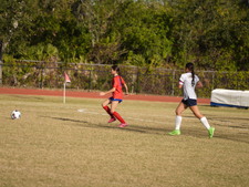 Enlarge photo 334