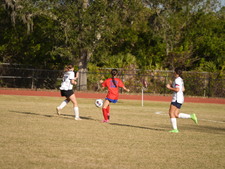 Enlarge photo 339
