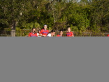 Enlarge photo 452