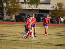 Enlarge photo 429