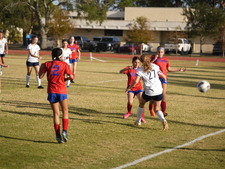 Enlarge photo 453