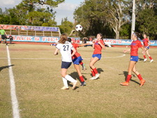 Enlarge photo 539