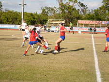 Enlarge photo 543