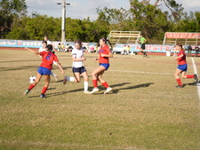 Enlarge photo 547