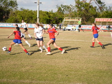 Enlarge photo 549