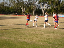 Enlarge photo 557