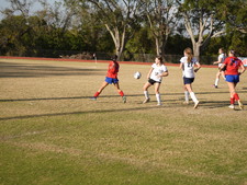 Enlarge photo 559