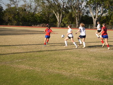 Enlarge photo 561