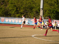 Enlarge photo 955