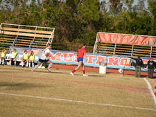 Enlarge photo 965