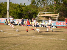 Enlarge photo 980